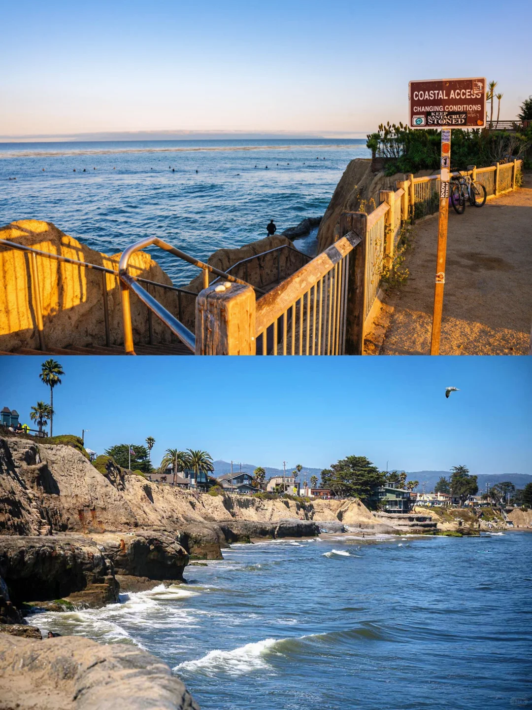 5 Tide Pools in Santa Cruz: Top Spots for Low-Tide Adventures