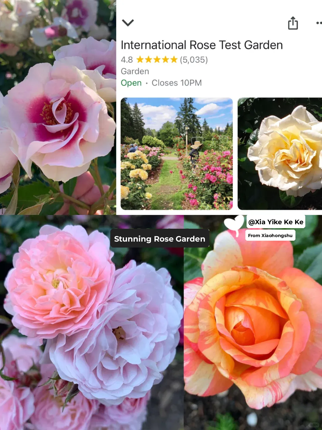 Tax-Free Portland | The World's Best Coffee and Beer 🍻