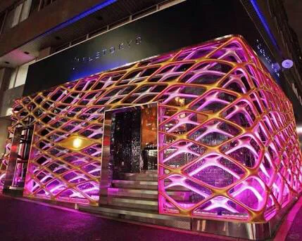 【Tokyo】The City That Never Sleeps^^ Two Nightclub Picks