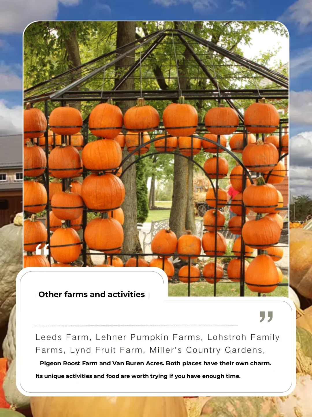 🍂 OSU｜Autumn Pumpkin Adventure🎃