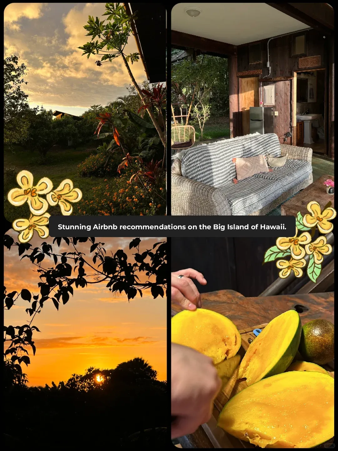 Big Island, Hawaii | Stunning Airbnb Amidst Mango Farm 🥭🌴