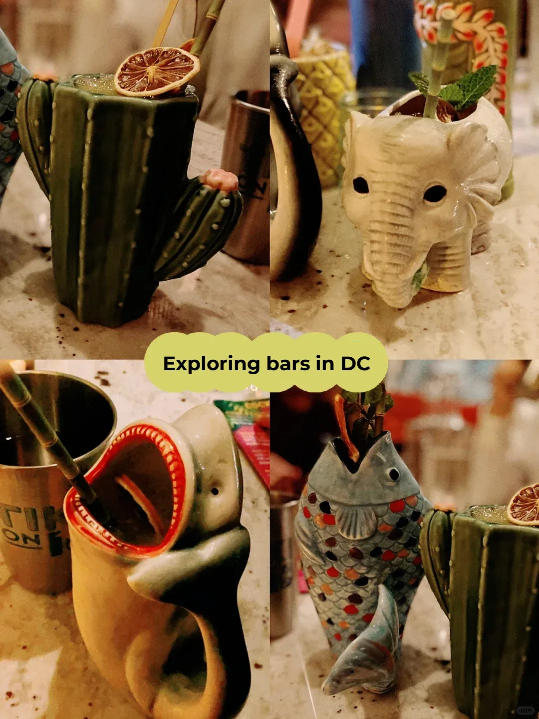 DC Bar Exploration｜An Adorably Cute Spot – A Gathering of Little Animals
