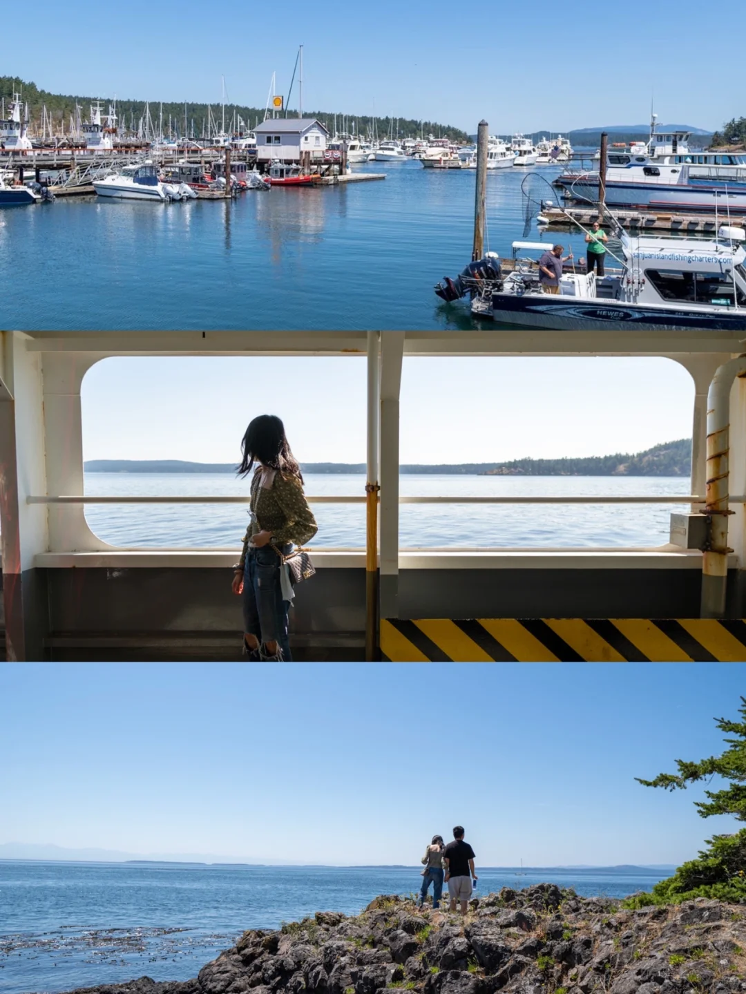 Seattle | San Juan Island Summer Exclusive 🚢 Travel Guide