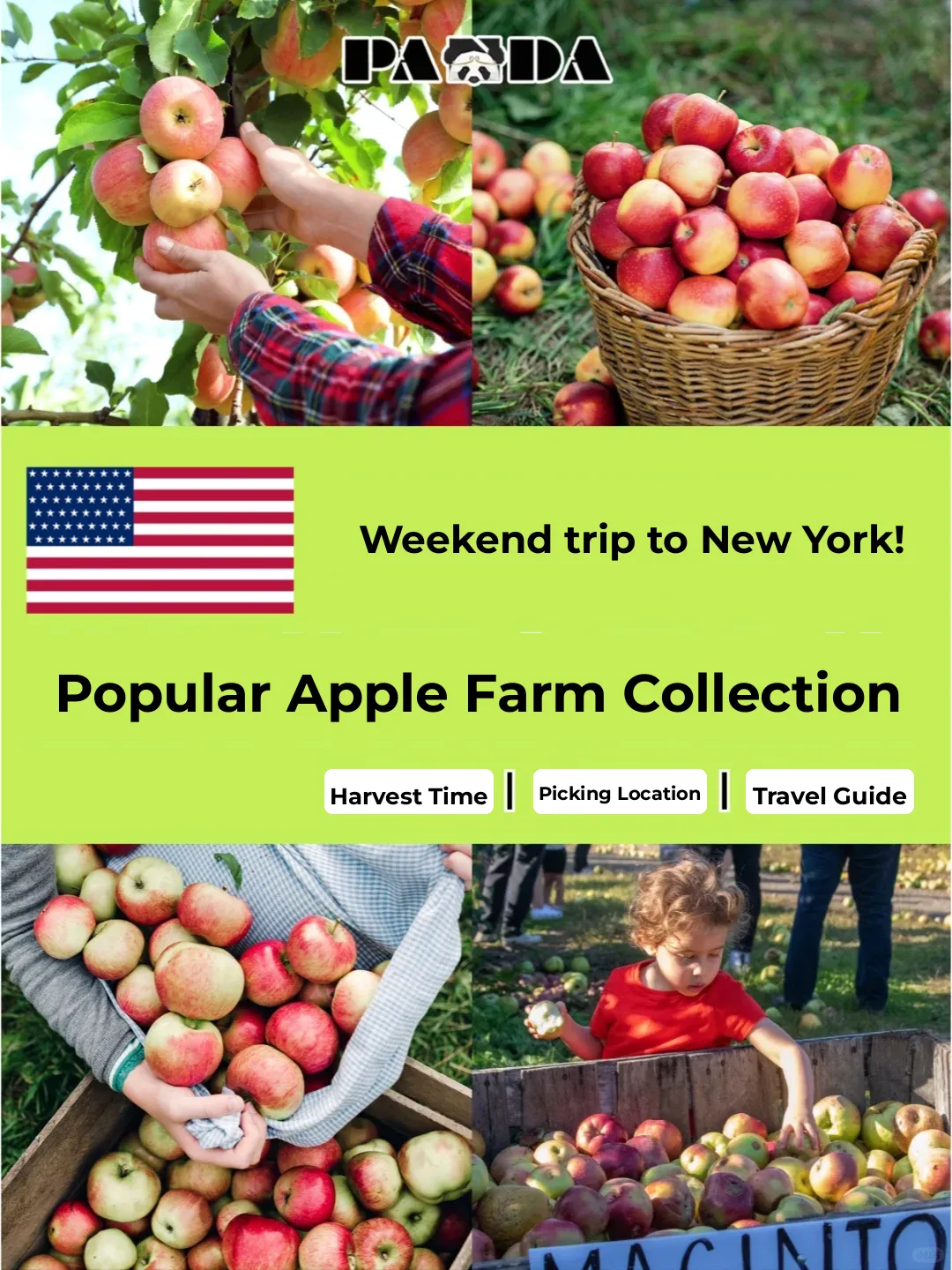 Top Picks: Popular Apple Orchards Near NYC!