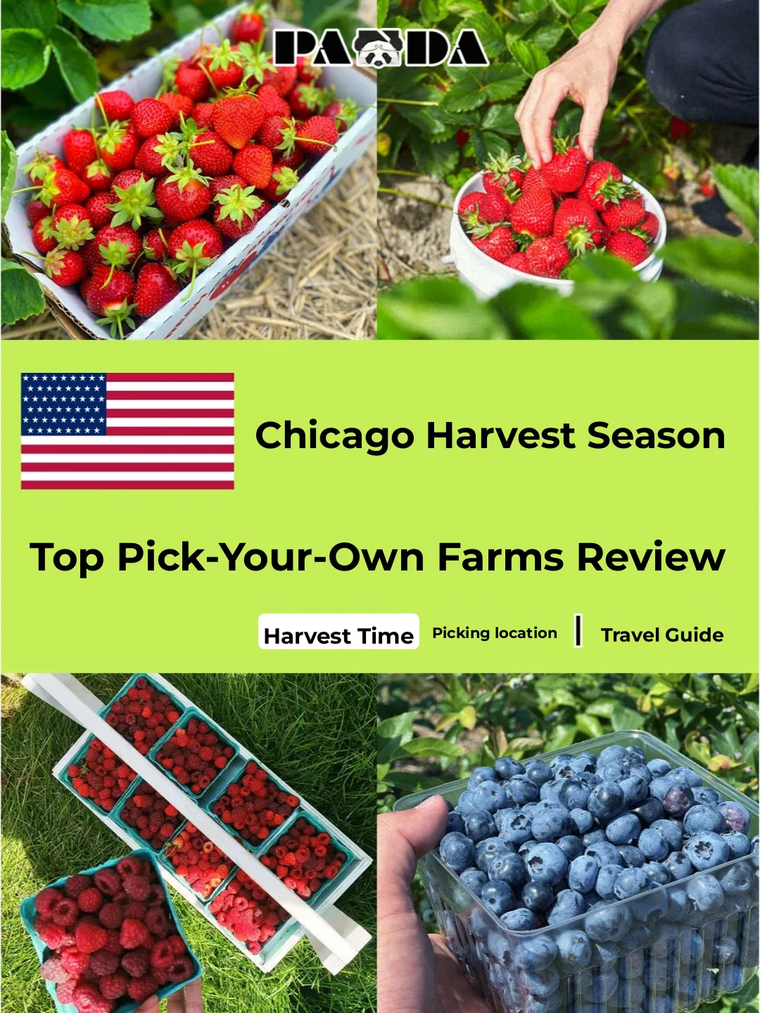 Top U-Pick Farms in Chicago for June 🍓