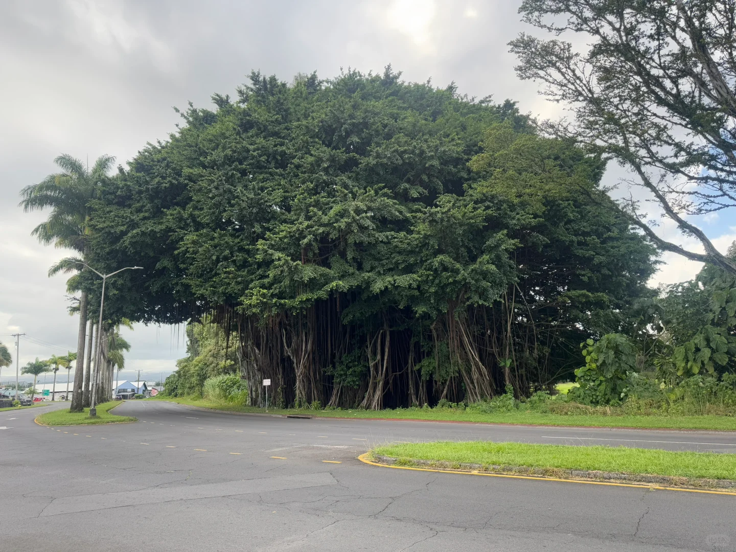 Hotel Recommendations for Hawaii's Big Island