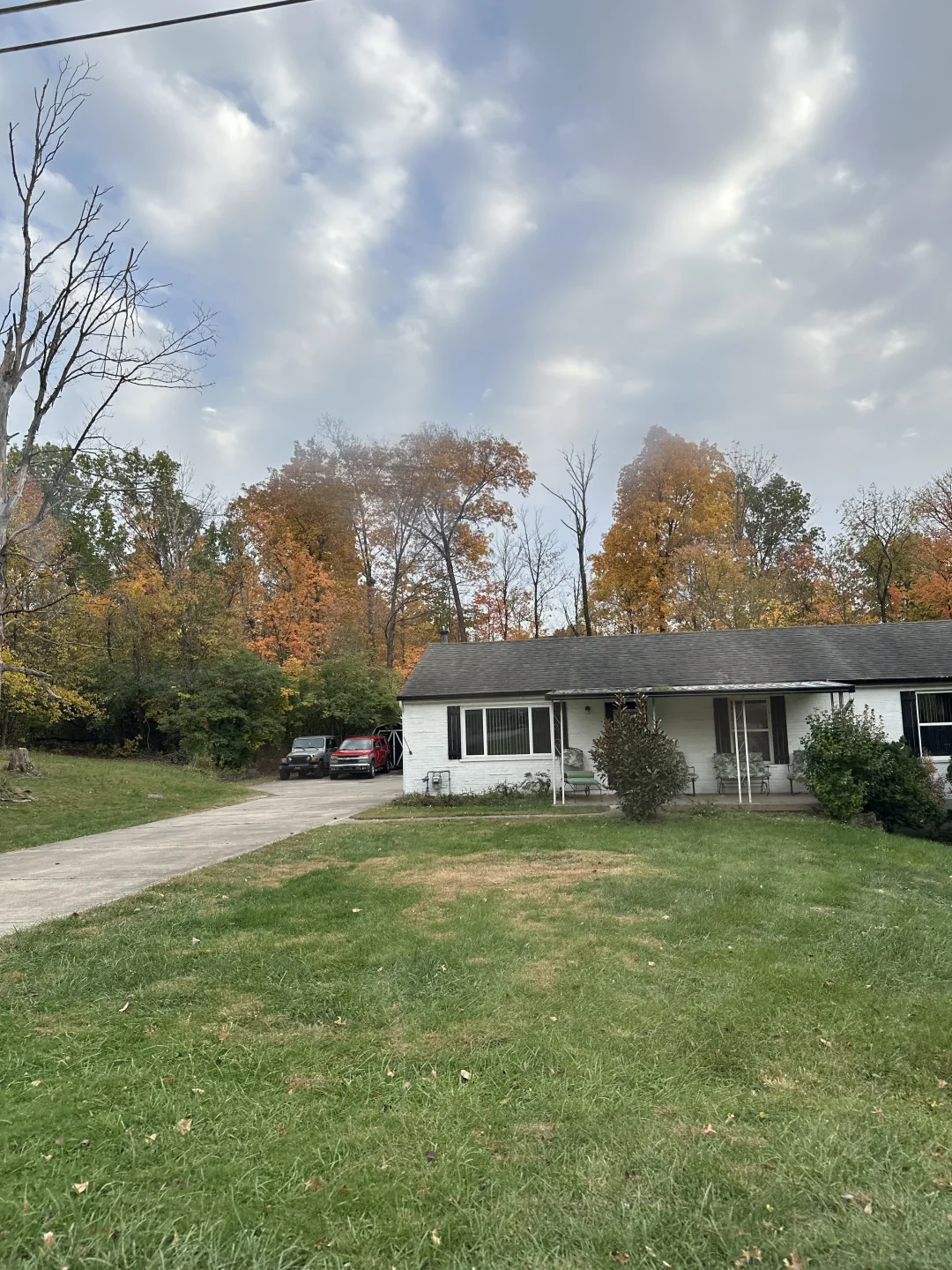 Cincinnati Eats: Wildflower