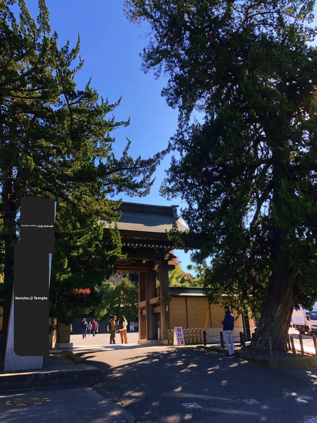 Studying in Japan at 33: Skipping the Crowds at Mount Takao for Autumn Leaves in Kamakura
