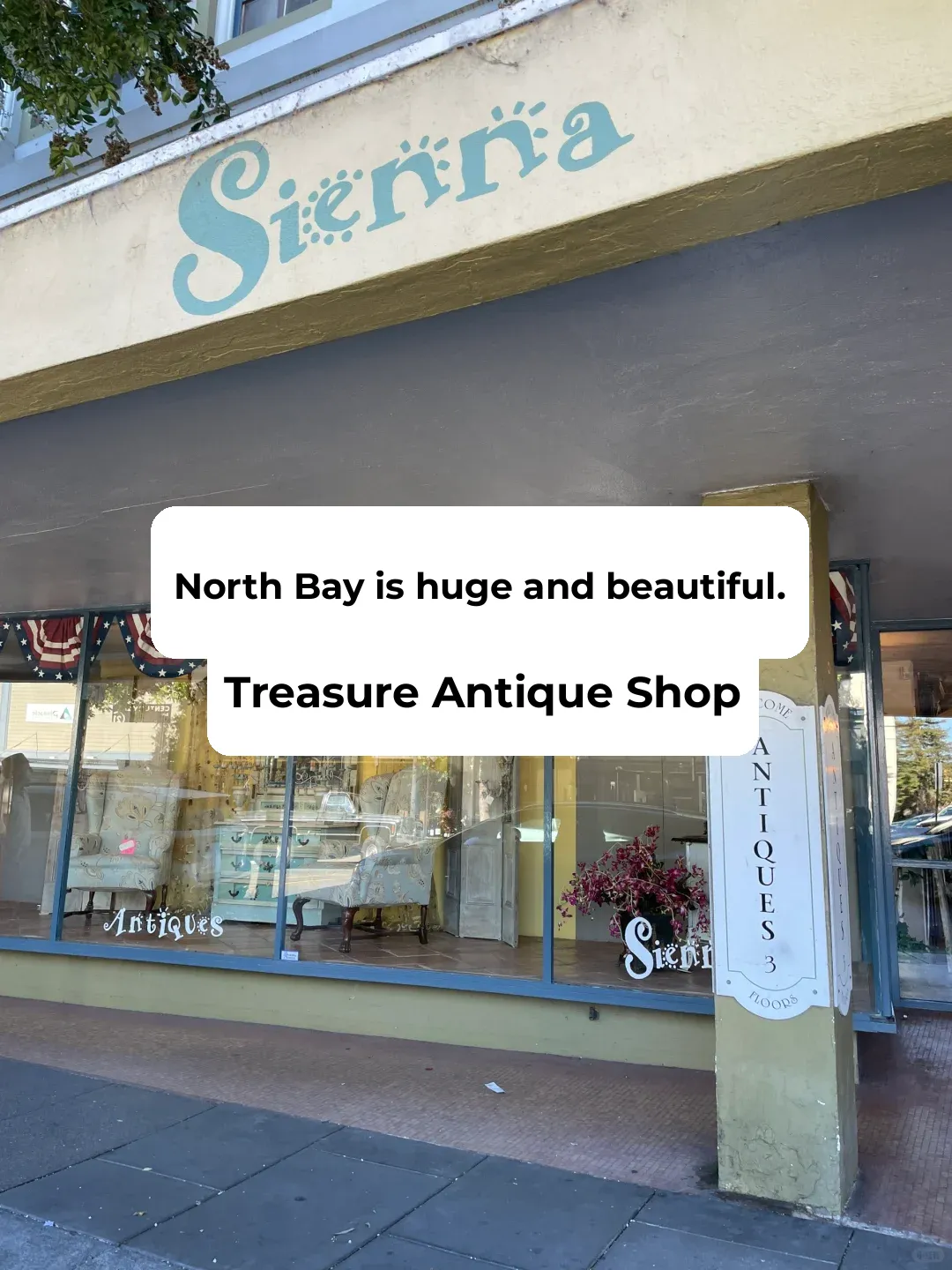 [North Bay] Massive and Gorgeous Antique Haven
