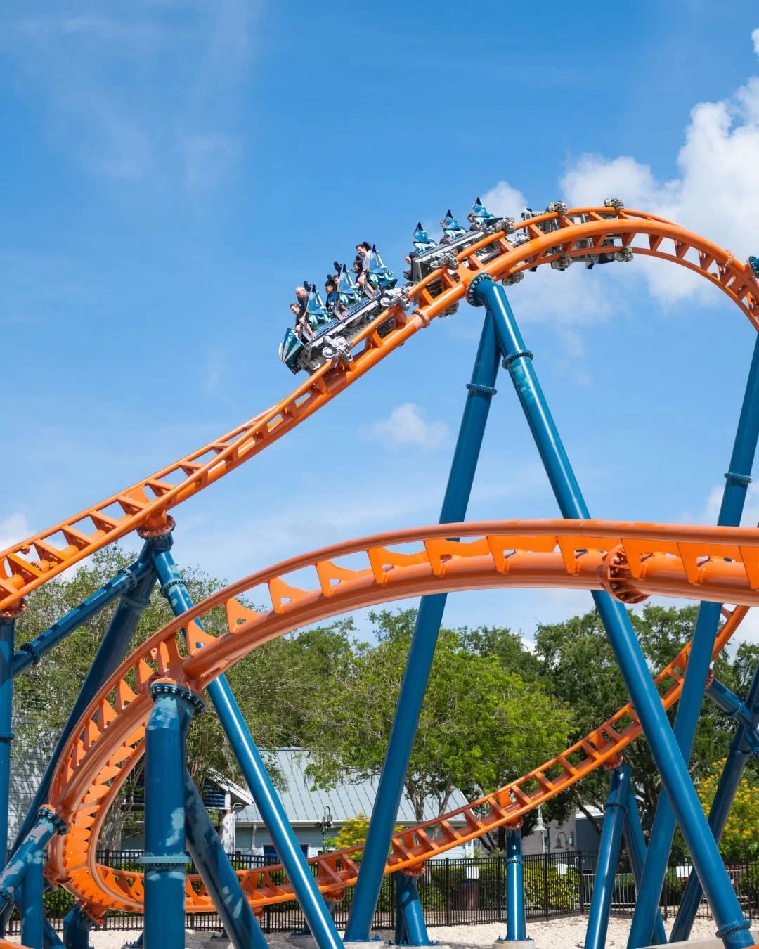 **The Most Fun Attractions at Tampa's Busch Gardens**