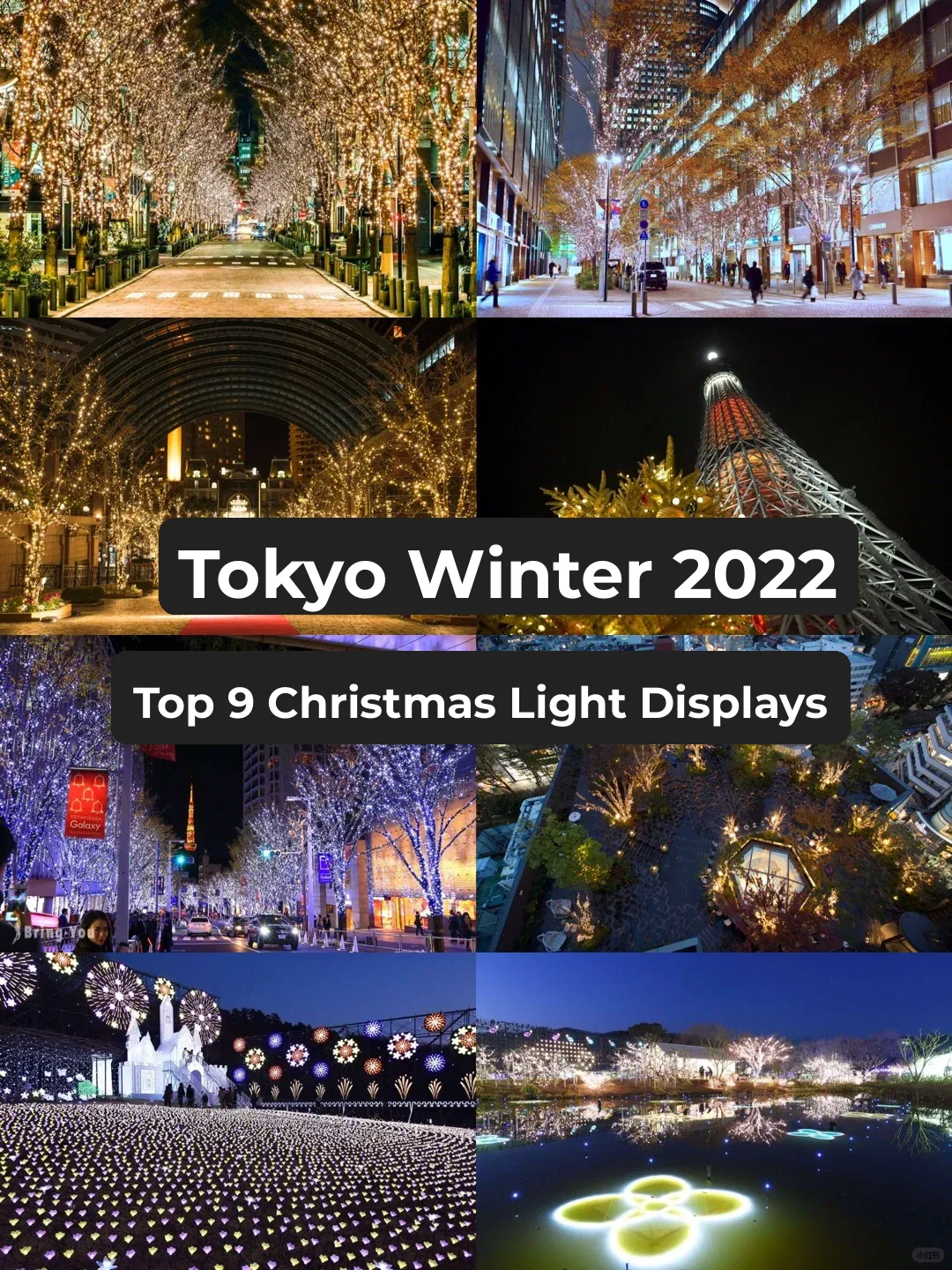 【2022】Top 9 Tokyo Winter Christmas Light Displays