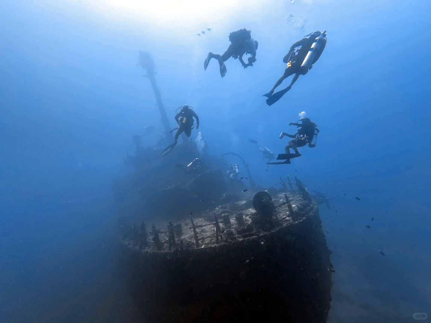 Most Stunning Diving Spots in Los Angeles | Save This Guide to Never Get Lost