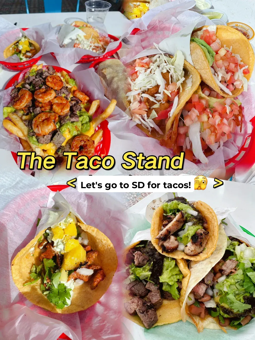Must-Try Tacos in San Diego | The Taco Stand