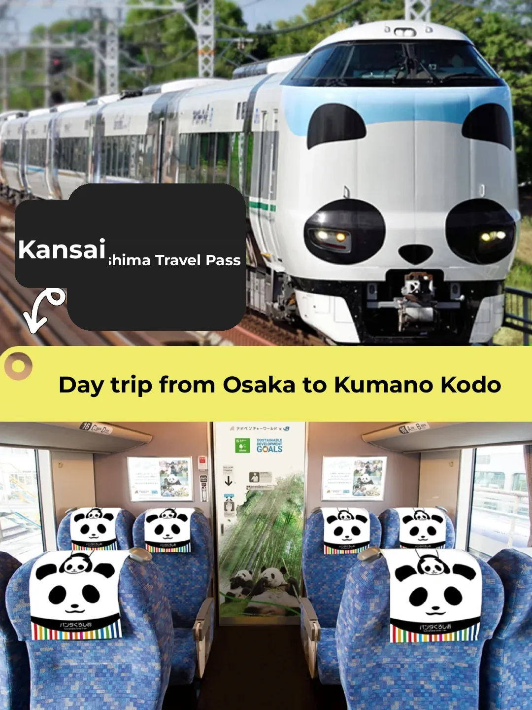 Day Trip Guide to Kumano Kodo (with Detailed Itinerary from Osaka)