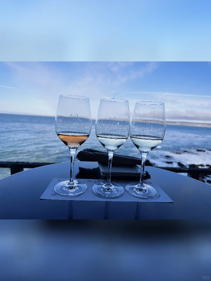 Tipsy in Monterey: Savoring the Breathtaking Ocean Views