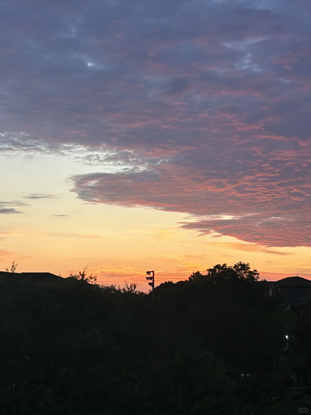 Houston Study Abroad Student's Hobbies