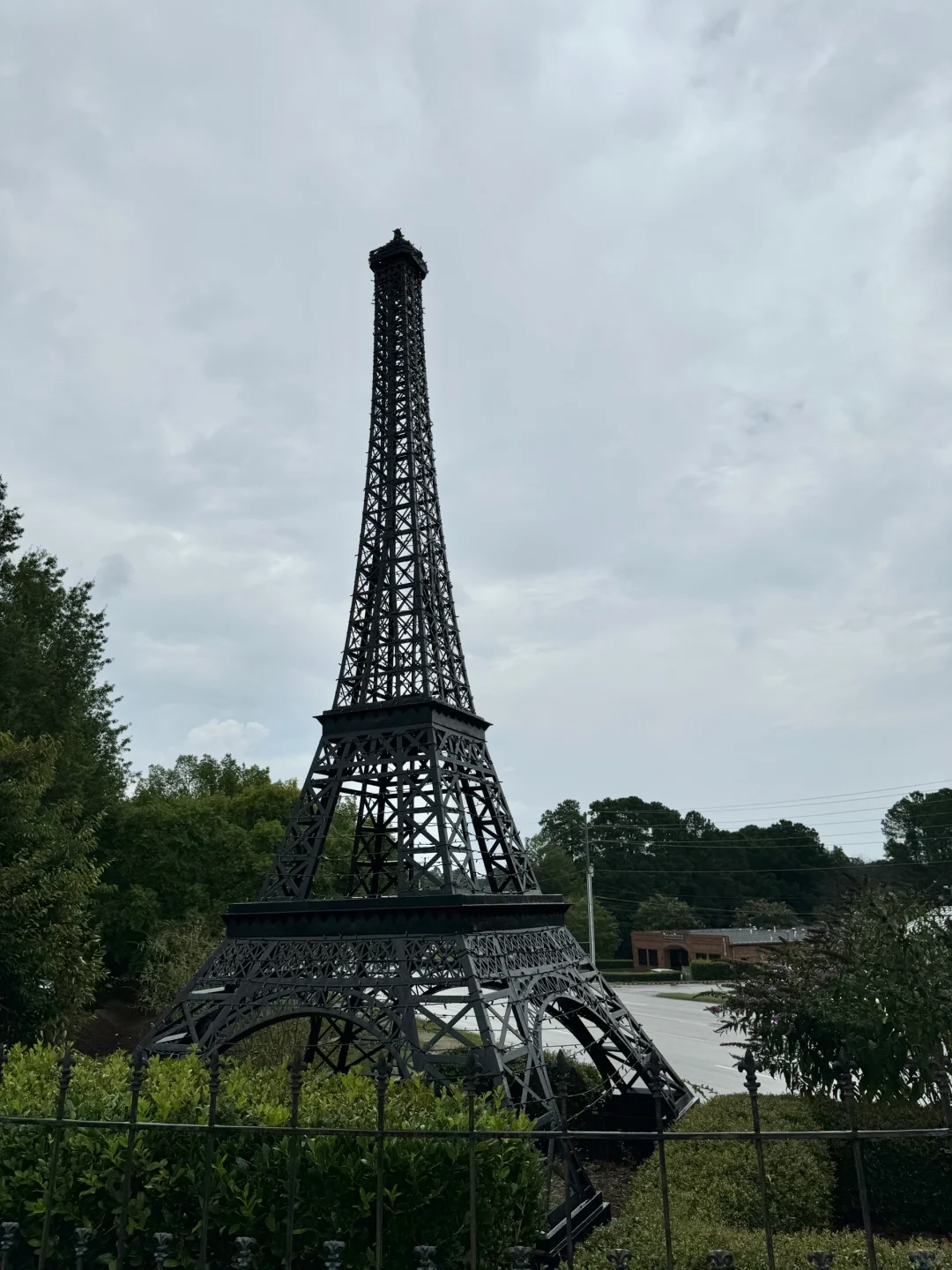 Raleigh's Rainy Day Vibe 🌧️☕️