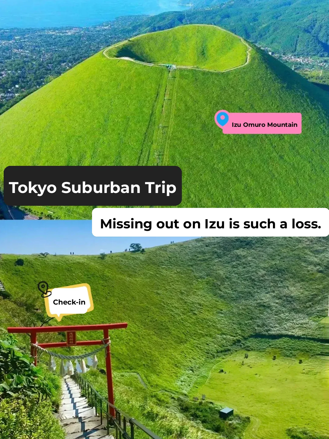 Day Trip Near Tokyo | Skipping Izu Would Be a Big Mistake! ‼️