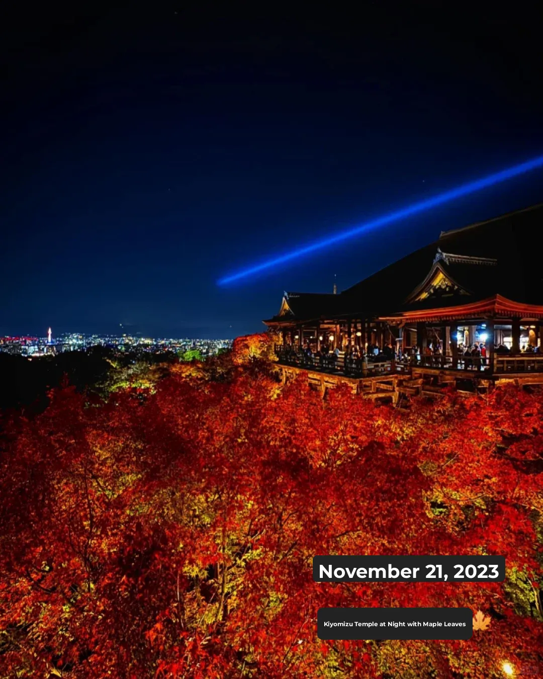Don't Miss This Year's Nighttime Maple Viewing! 🍁