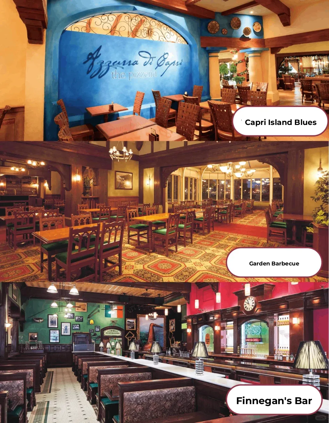 What to Eat at Universal Studios? A Complete Guide to Ordering, Reservations, and Skipping Lines!