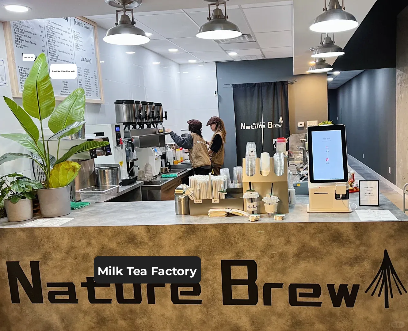 The Absolute Worst Bubble Tea in Dallas