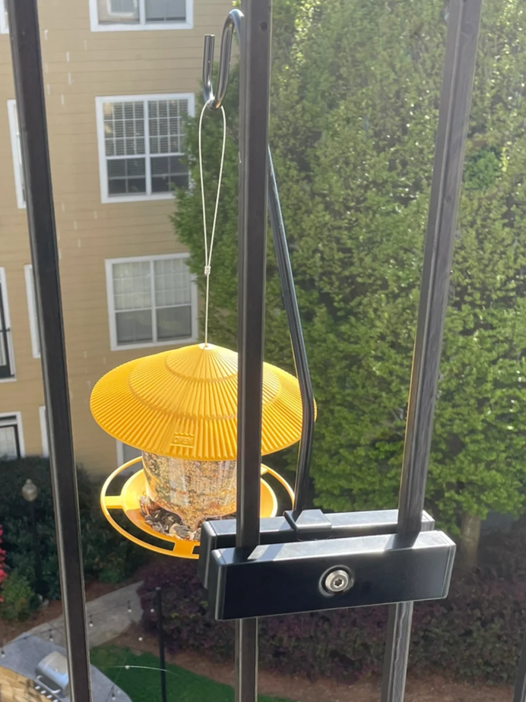 April 19, 2022: A Tale of Two Parks in Atlanta