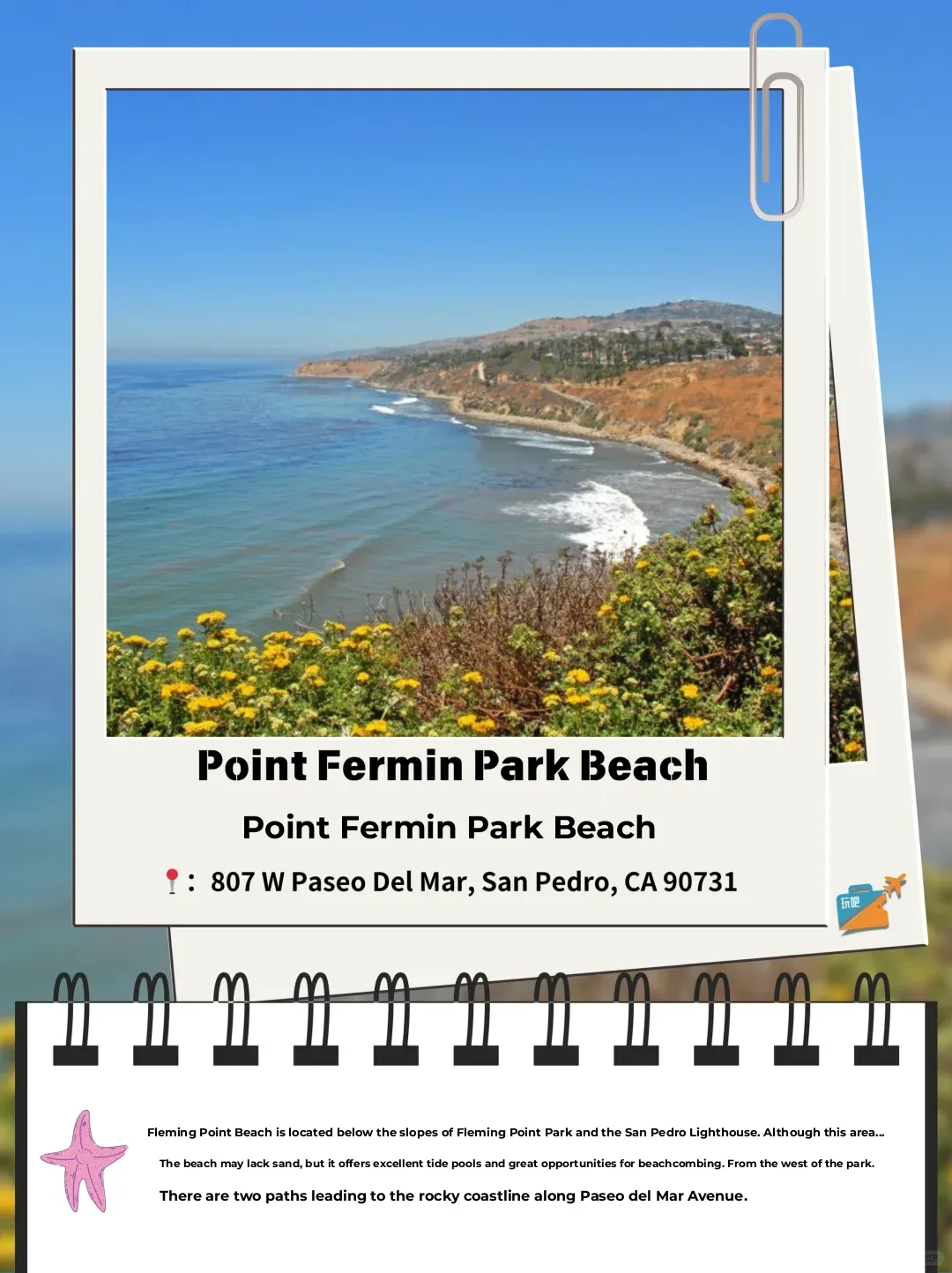 Let's Go Shelling! 🐚 A Guide to 10 Tide Pool Hotspots in Los Angeles