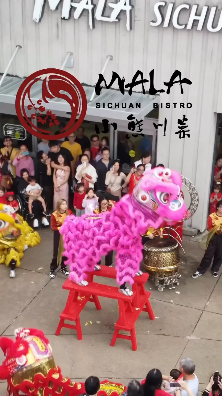 Houston | This Weekend 1/25-1/26: Catch the Lion Dance at Little Bear Sichuan Cuisine
