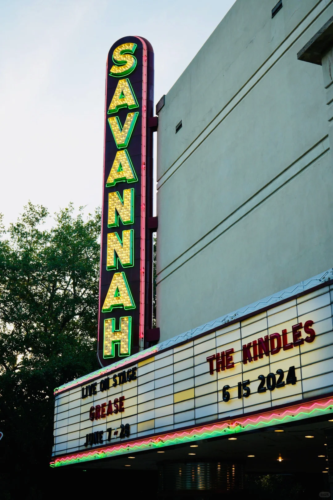 🇺🇸Two-Day Travel Guide to the Stunning Town of Savannah