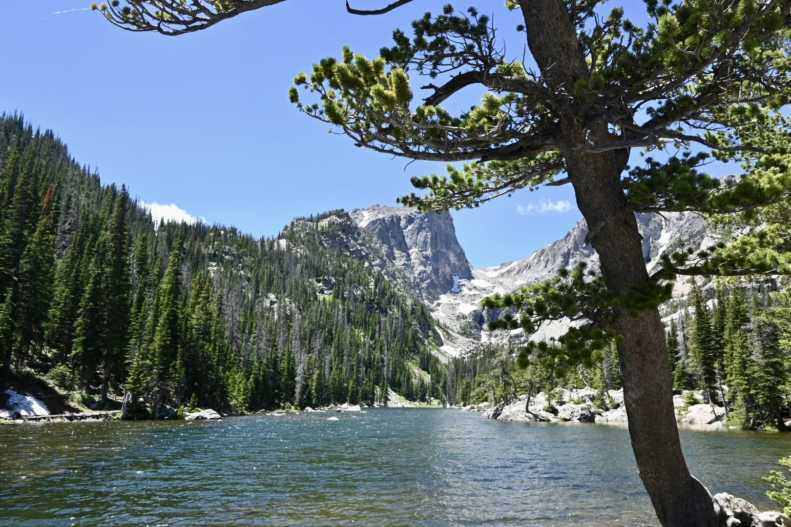 Travel | Denver 5-Day, 4-Night Itinerary: Hits and Misses Roundup