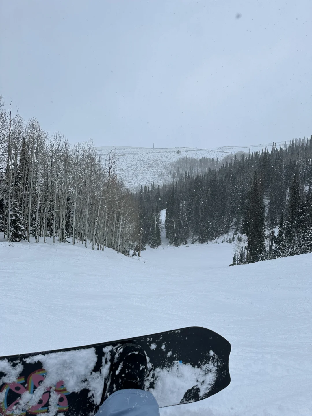 Skiing in Salt Lake City: A Guide to Avoiding Subpar Chinese Food