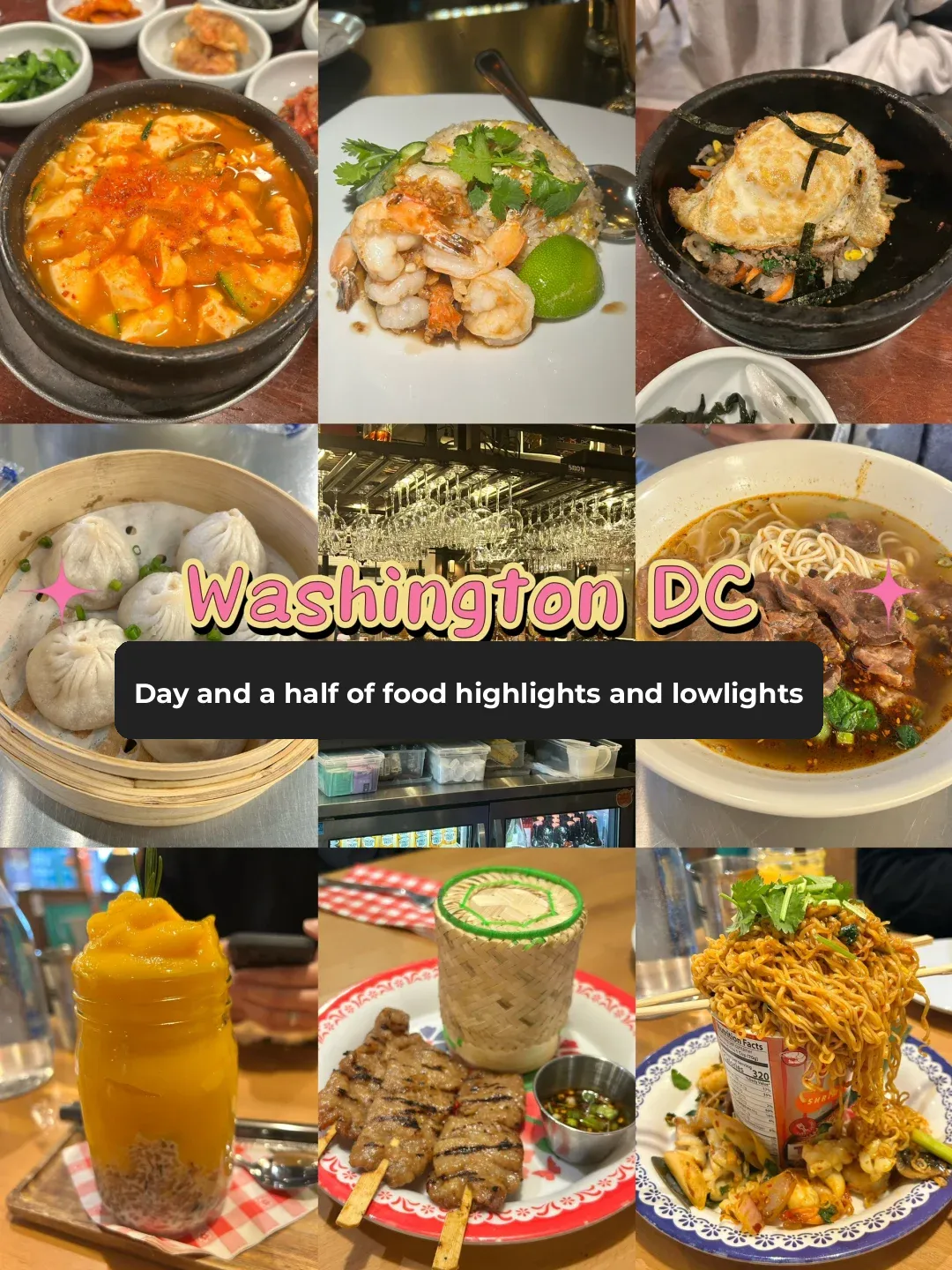 🇨🇦 What a Canadian Student in the 🇺🇸 U.S. Capital Washington DC Ate During Their Stay