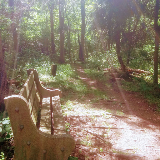 Green Tree Nature Center - reviews,open hours,photo spots,things to do ...