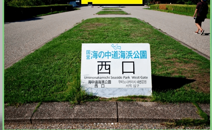 post_image