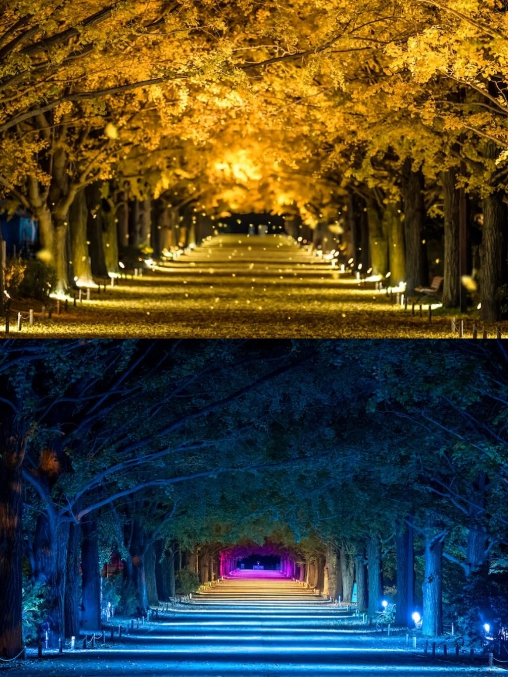 post_image