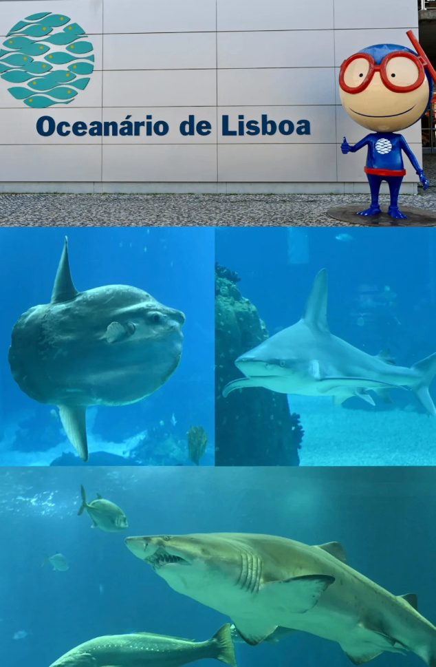 post_image