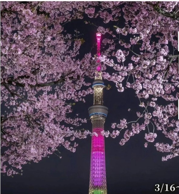 post_image