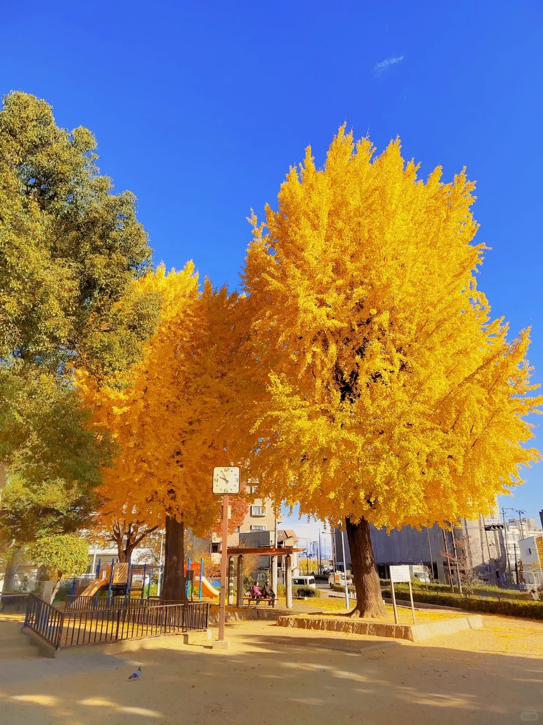 post_image