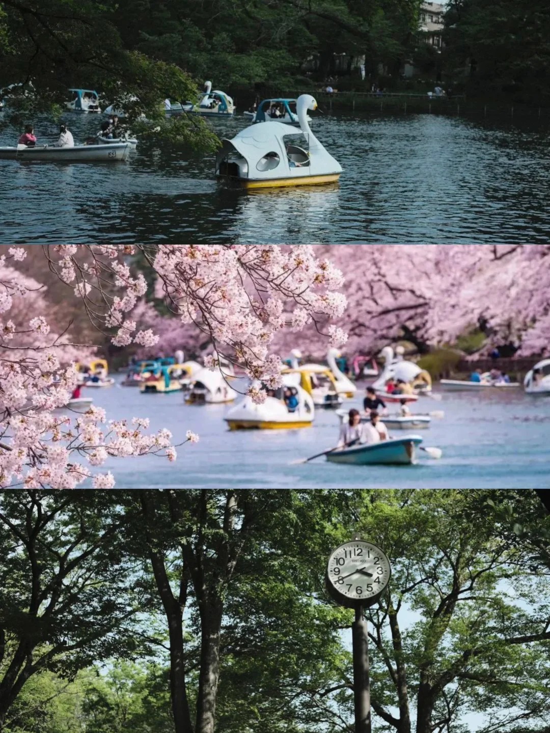 post_image