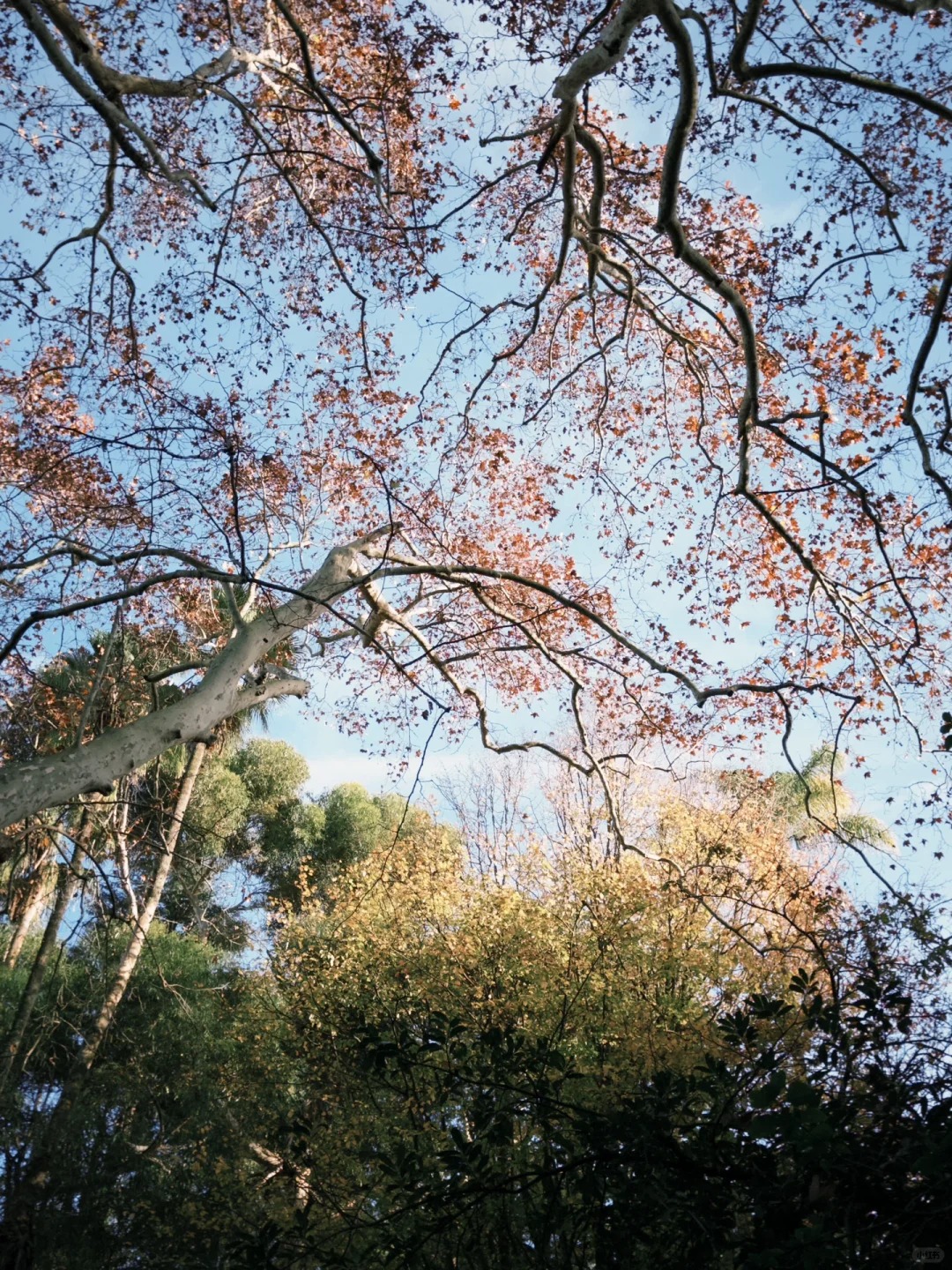 post_image