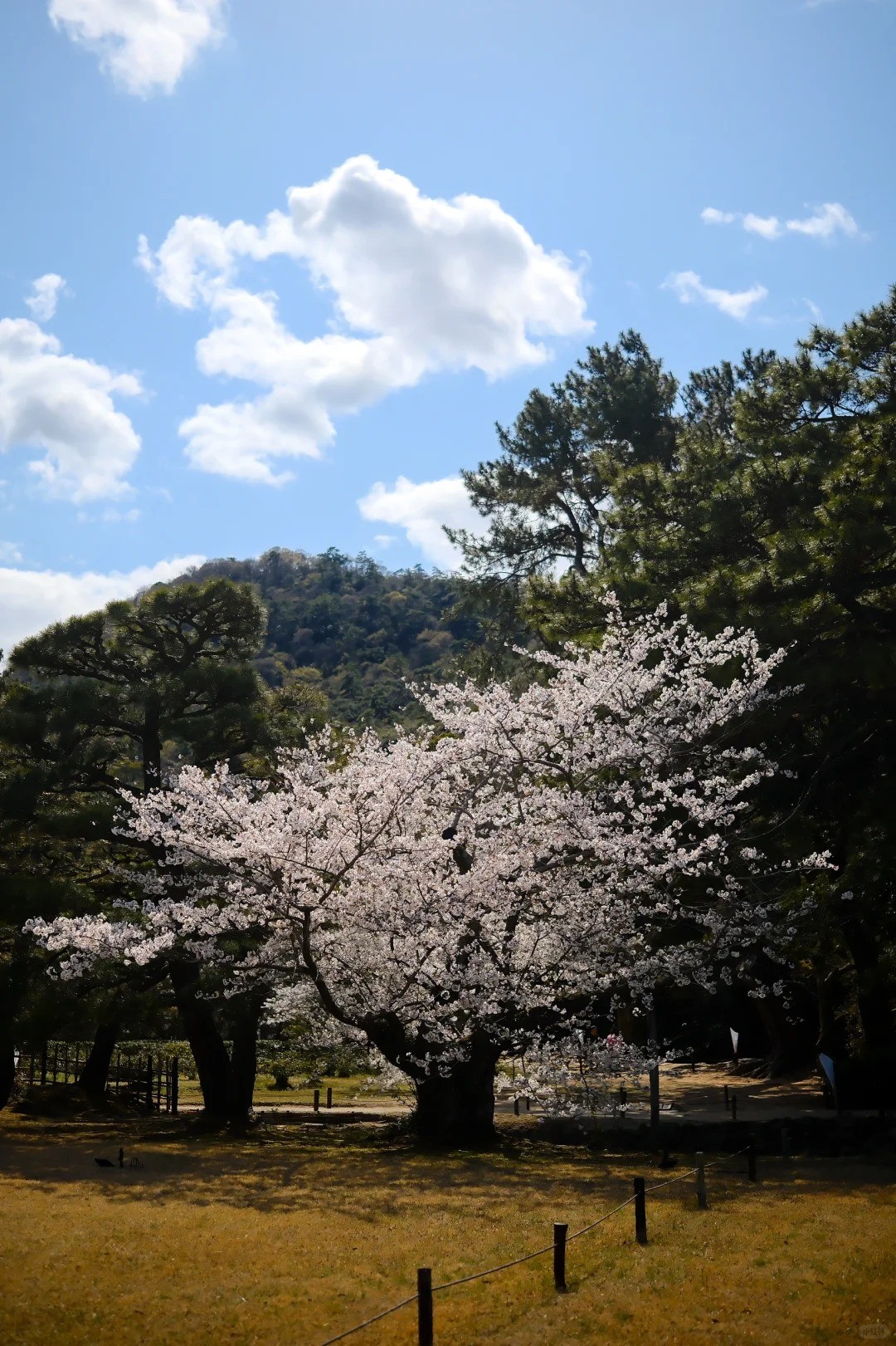 post_image