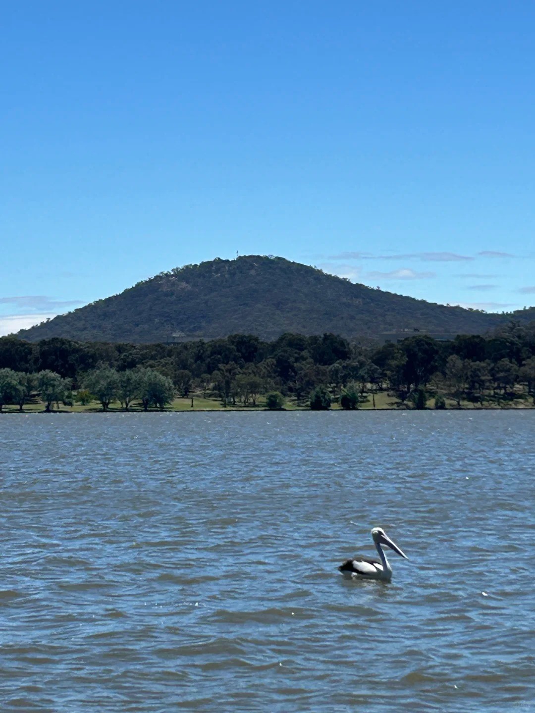  24 Hours in Canberra | Must-Vo-Spots 🏛️ (Car-Free Edition! 🚗)