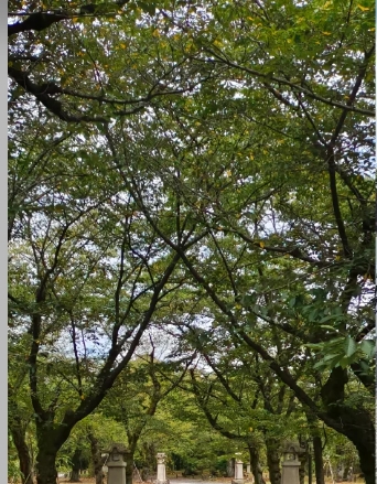 post_image