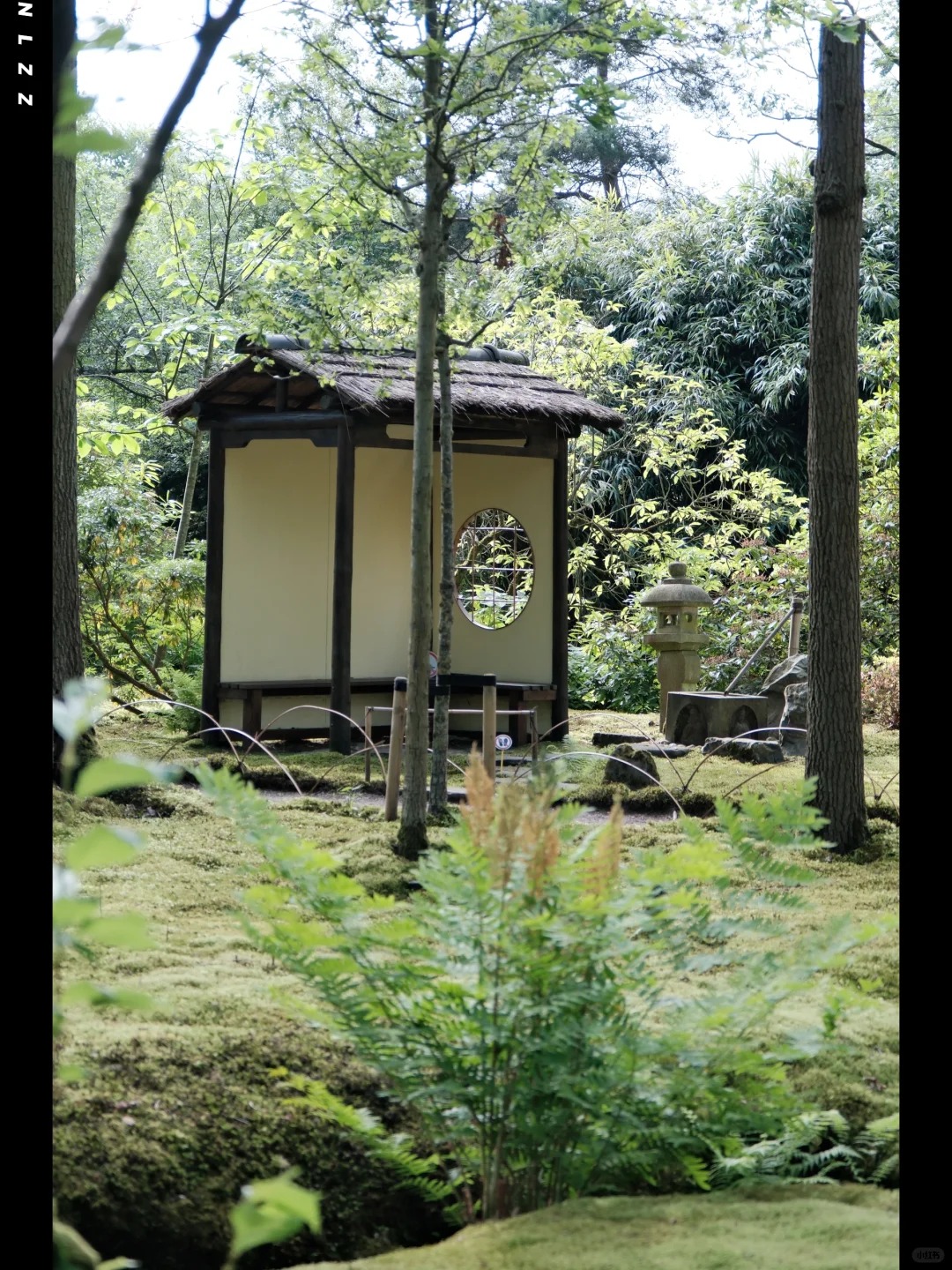 post_image