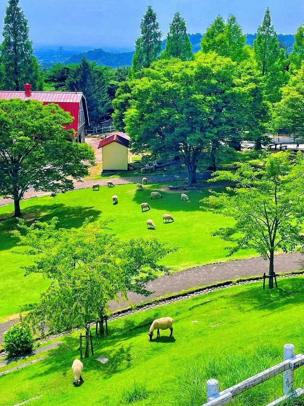 post_image