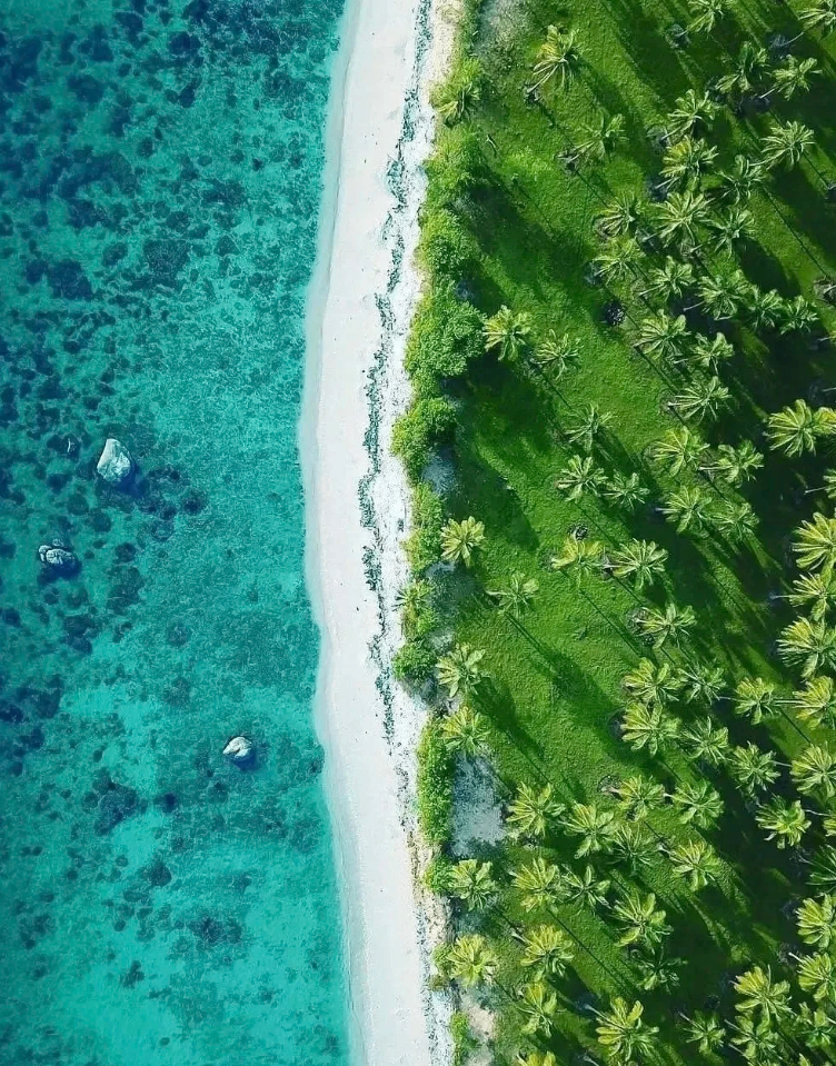 ​​Sri Lanka | Lonely Planet's Top 1🌍 Budget Travel Gem​​