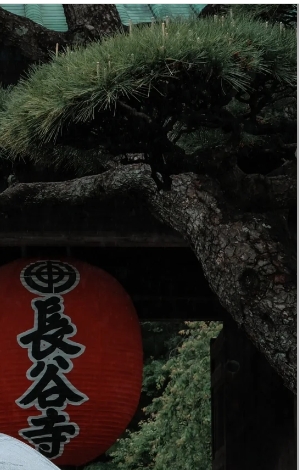 post_image