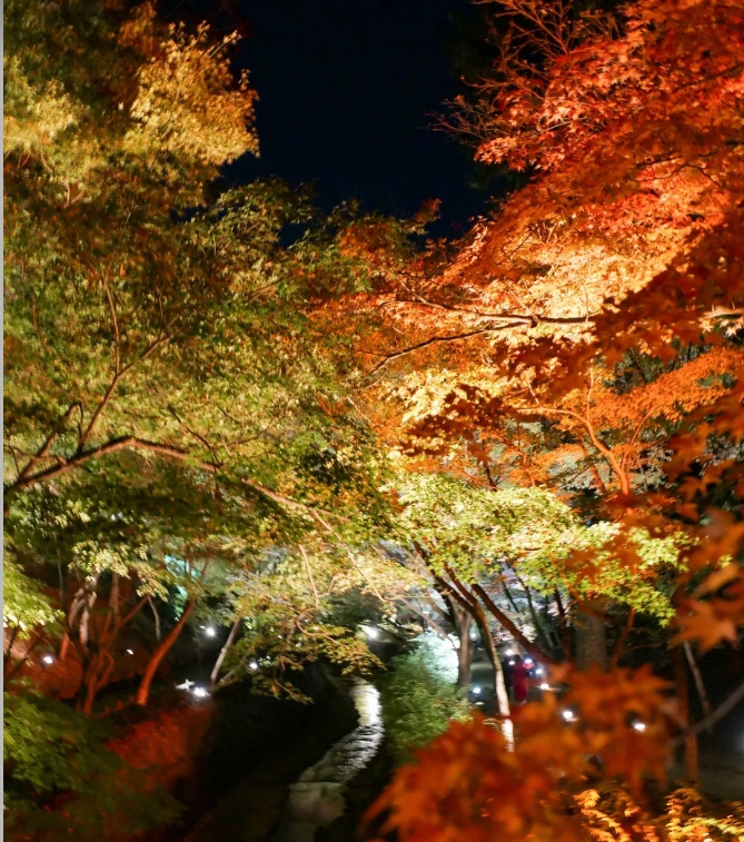 post_image