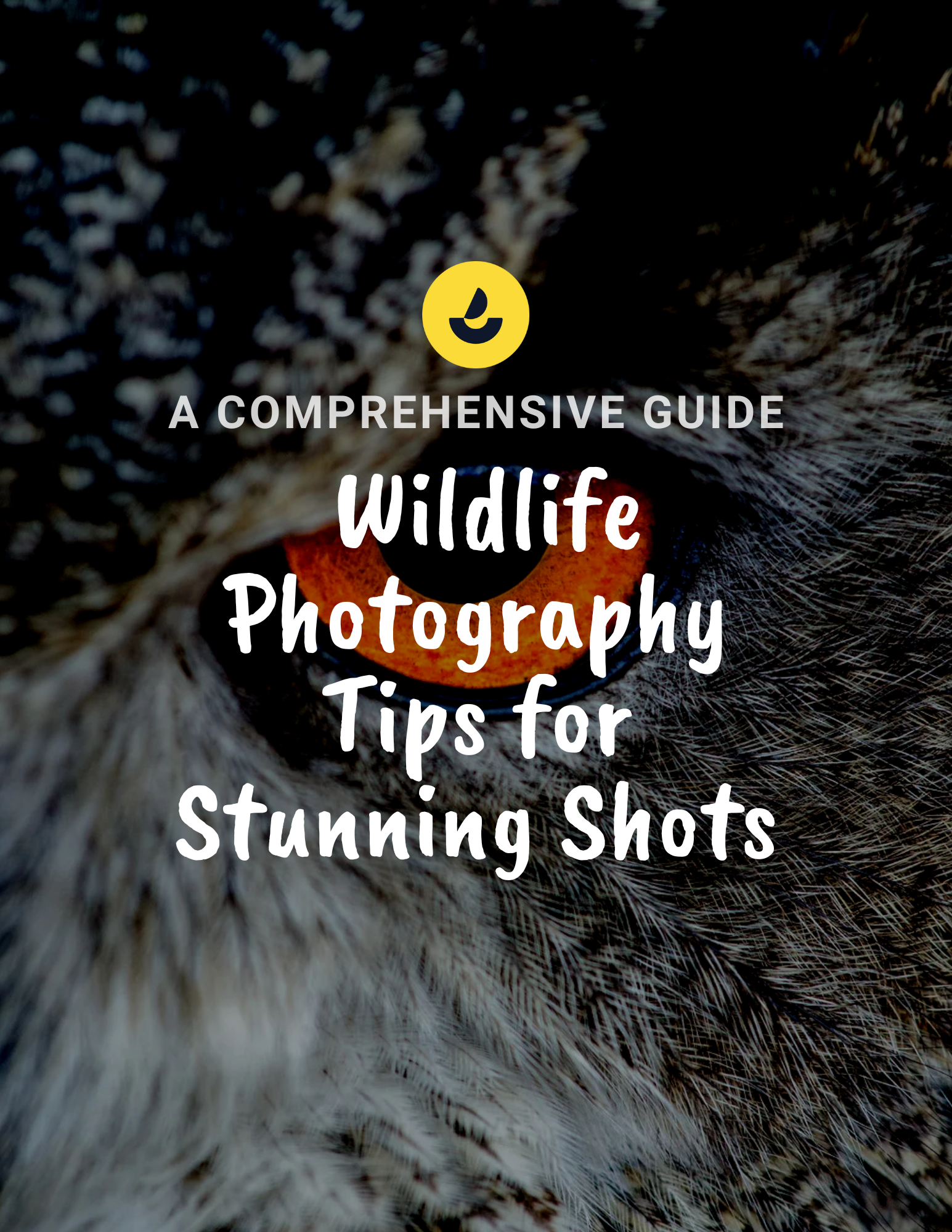 Wildlife Photography Tips for Stunning Shots: A Comprehensive Guide by ...