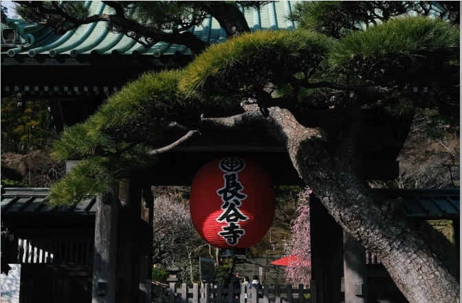post_image